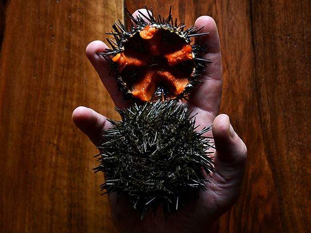 Rustique DSC_6965RET.jpg