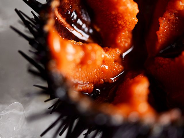 Rustique DSC_6977RET.jpg