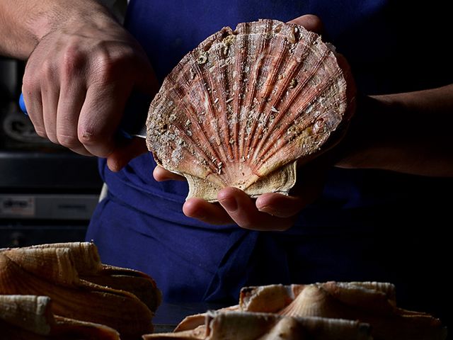 Rustique DSC_6980RET 2.jpg